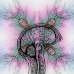 adhd productivity tips - ADHD Goat